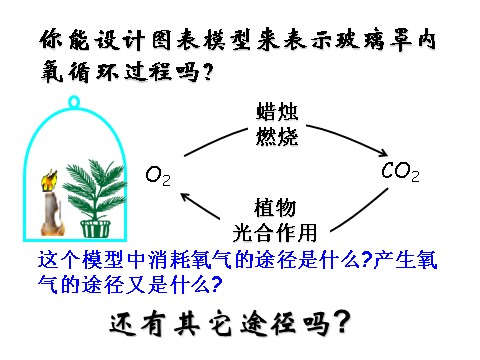 初二下册科学（教科版）优质课3.7自然界中氧循环和碳循环ppt课件第4页