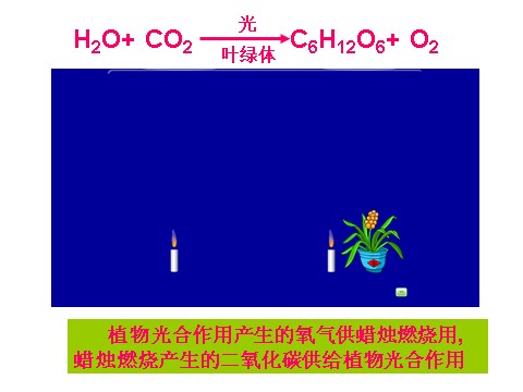 初二下册科学（教科版）浙教版八年级科学公开课自然界中氧循环和碳循环ppt课件第4页