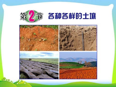 初二下册科学（教科版）八年级科学新浙教版4.2各种各样的土壤ppt课件第1页