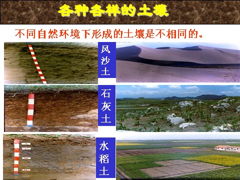 初二下册科学（教科版）新浙教版八年级科学优质课4.2各种各样的土壤ppt课件第4页