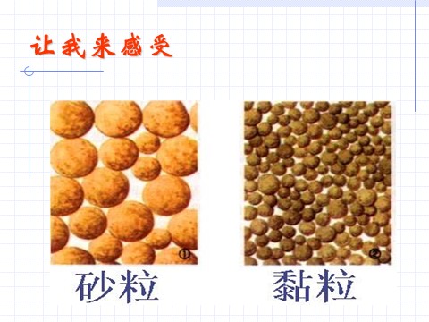 初二下册科学（教科版）4.2各种各样的土壤ppt课件(新浙教版八下科学)第9页