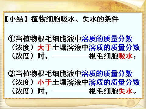 初二下册科学（教科版）新浙教版八下科学4.3植物的根与物质吸收课件ppt第3页