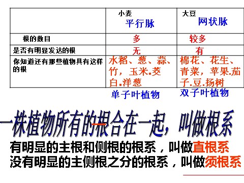 初二下册科学（教科版）八年级科学新浙教版4.3植物的根与物质吸收ppt课件第4页