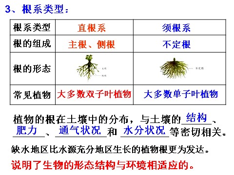 初二下册科学（教科版）浙教版八年级科学公开课4.3植物的根与物质吸收ppt课件第7页