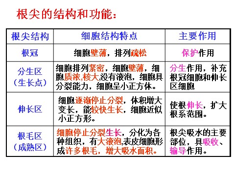 初二下册科学（教科版）八年级科学优质课4.3植物的根与物质吸收ppt课件第10页