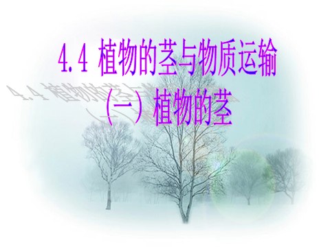 初二下册科学（教科版）浙教版八年级科学优质课4.4植物的茎与物质运输ppt课件第1页