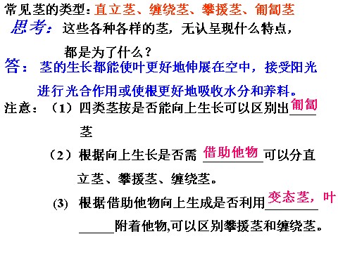 初二下册科学（教科版）八下科学新浙教版4.4植物的茎与物质运输ppt课件第7页