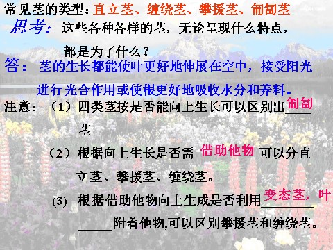 初二下册科学（教科版）新浙教版八年级科学精品4.4植物的茎与物质运输ppt课件第8页