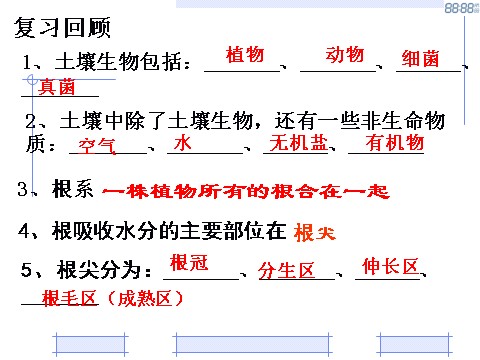 初二下册科学（教科版）新浙教版八年级科学4.4植物的茎与物质运输课件ppt第1页