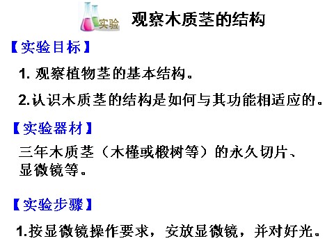 初二下册科学（教科版）教研课4.4植物的茎与物质运输ppt课件(新浙教版）第3页