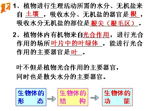 初二下册科学（教科版）新浙教版八年级科学精品4.5植物的叶与蒸腾作用ppt课件第2页