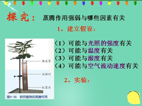 初二下册科学（教科版）浙教版八年级科学公开课植物的叶与蒸腾作用ppt课件第10页