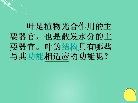 初二下册科学（教科版）浙教版八年级科学公开课植物的叶与蒸腾作用ppt课件第2页