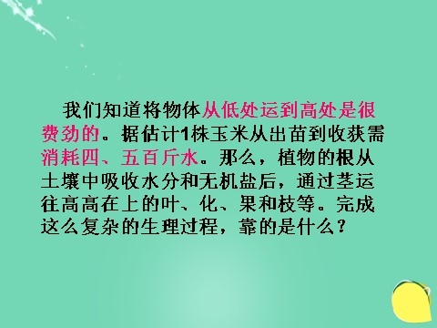 初二下册科学（教科版）浙教版八年级科学公开课植物的叶与蒸腾作用ppt课件第6页