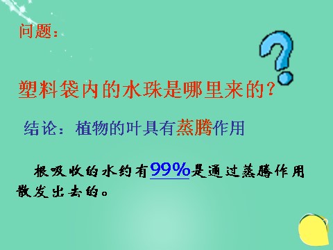 初二下册科学（教科版）浙教版八年级科学公开课植物的叶与蒸腾作用ppt课件第8页