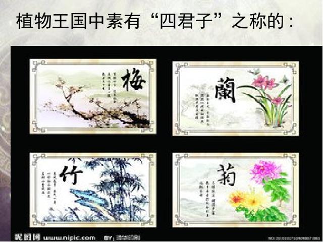 初二下册语文精品《卜算子咏梅》第5页