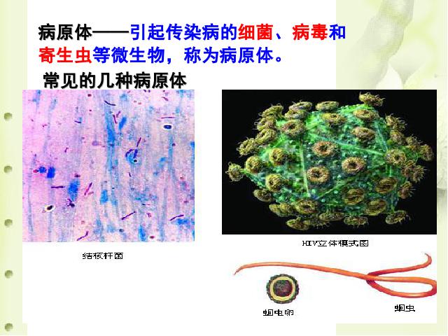 初二下册生物生物《8.1.1传染病及其预防》（）第6页