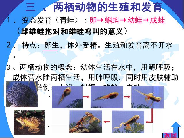 初二下册生物《期末资料总复习》生物第7页