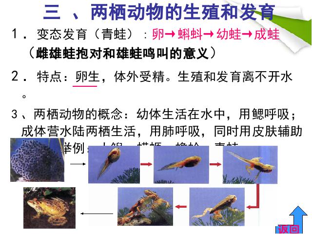 初二下册生物生物《期末资料总复习》（）第7页