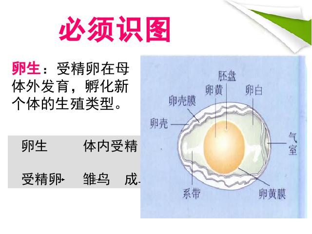 初二下册生物生物《期末资料总复习》（）第9页