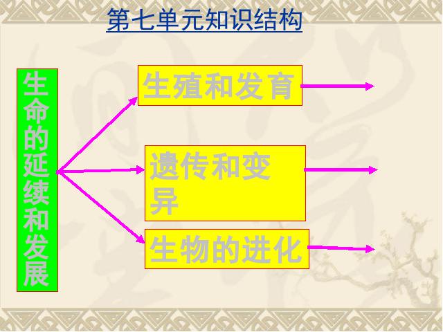 初二下册生物《期末资料总复习》生物生物第2页