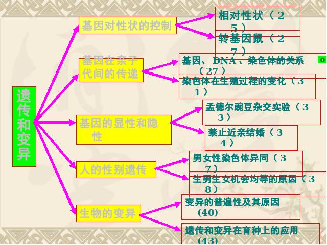 初二下册生物《期末资料总复习》生物生物第4页