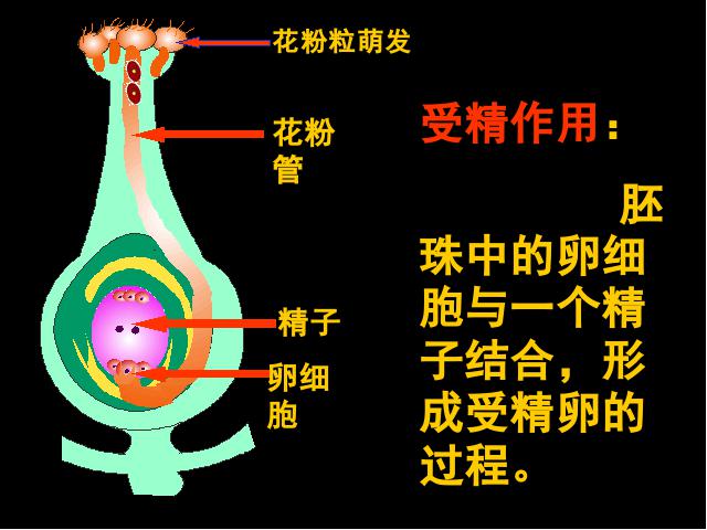 初二下册生物生物《期末资料总复习》第3页