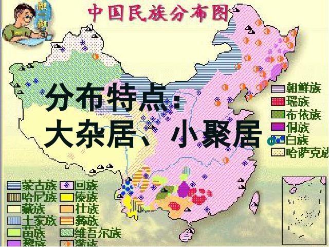 初二下册历史《4.11民族团结》(历史)第8页