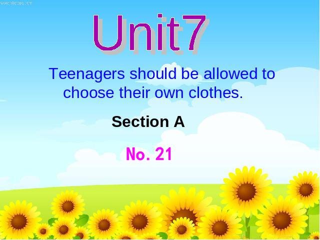 初三上册英语全一册初中英语《Unit7 Teenagers should be allowed to choose their第10页