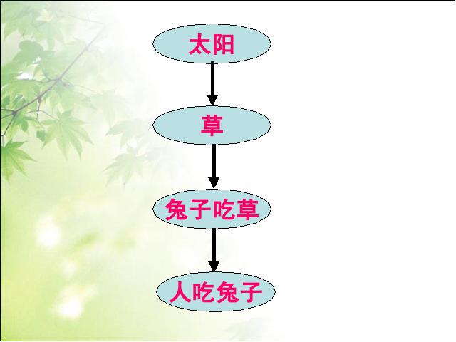 初三上册物理全一册《22.4能源与可持续发展》第2页