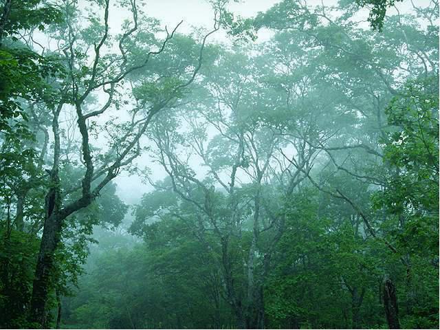 初三上册化学化学我们周围的空气:课题1空气优质课ppt课件下载第2页