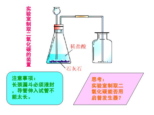 初三上册化学ppt实验活动2:二氧化碳的实验室制取与性质课件第7页