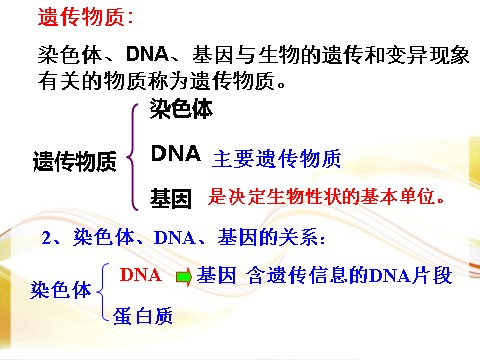 初三下册科学（教科版）教研课1.5遗传与进化ppt课件(新浙教版九下科学)第4页