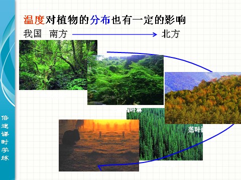 初三下册科学（教科版）九年级科学新浙教版2.1生物与环境的相互关系ppt课件第6页