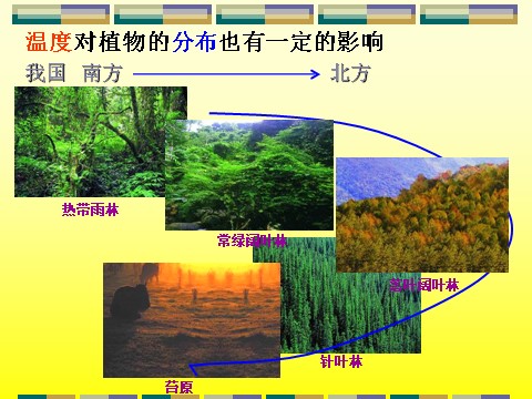 初三下册科学（教科版）九下科学新浙教版2.1生物与环境的相互关系ppt课件第6页