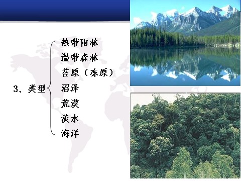 初三下册科学（教科版）新浙教版九年级科学2.3生物群落ppt课件第3页