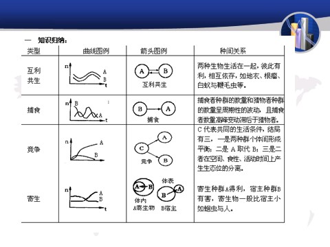 初三下册科学（教科版）新浙教版九年级科学2.3生物群落ppt课件第8页