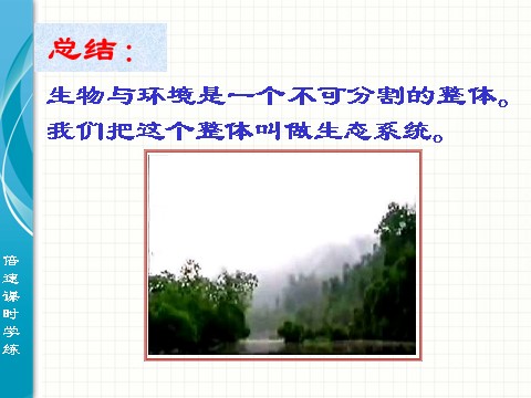 初三下册科学（教科版）浙教版九年级科学2.4生态系统的结构和功能课件ppt第6页