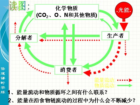 初三下册科学（教科版）九年级科学新浙教版2.4生态系统的结构和功能ppt课件第6页