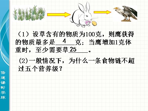 初三下册科学（教科版）九年级科学新浙教版2.4生态系统的结构和功能ppt课件第8页