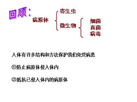 初三下册科学（教科版）九年级科学新浙教版3.3身体的防卫ppt课件第2页