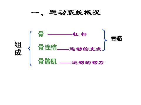 初三下册科学（教科版）新浙教版九下科学3.5人的运动系统和保健课件ppt第2页