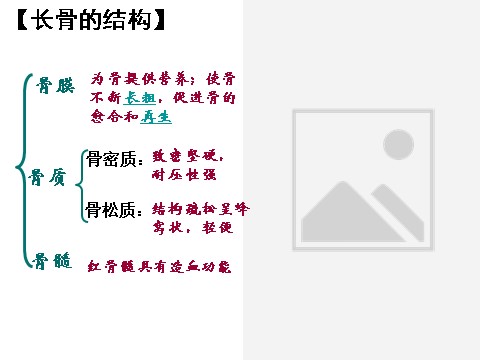 初三下册科学（教科版）新浙教版九下科学3.5人的运动系统和保健课件ppt第7页