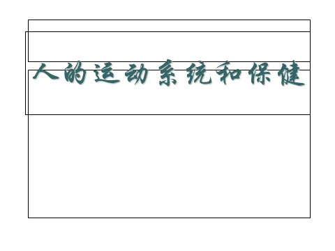 初三下册科学（教科版）九下科学新浙教版3.5人的运动系统和保健ppt课件第2页