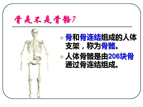 初三下册科学（教科版）九下科学新浙教版3.5人的运动系统和保健ppt课件第4页