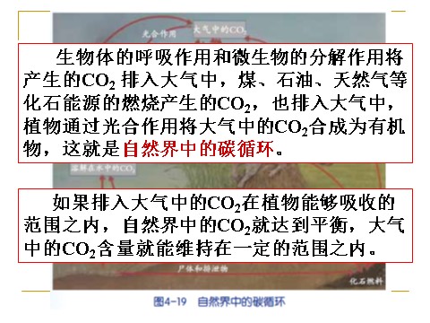 初三下册科学（教科版）新浙教版九年级科学优质课4.3低碳生活ppt课件第3页