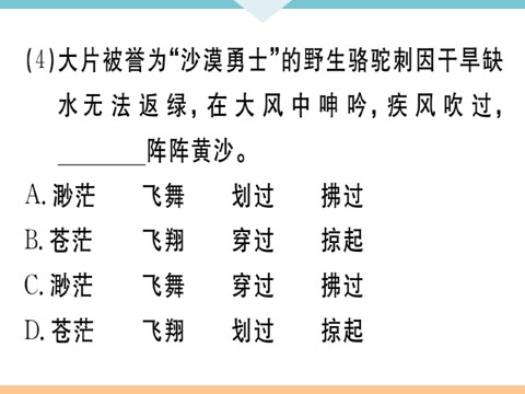 初三下册语文（旧人教版）4 海燕 每课习题第4页