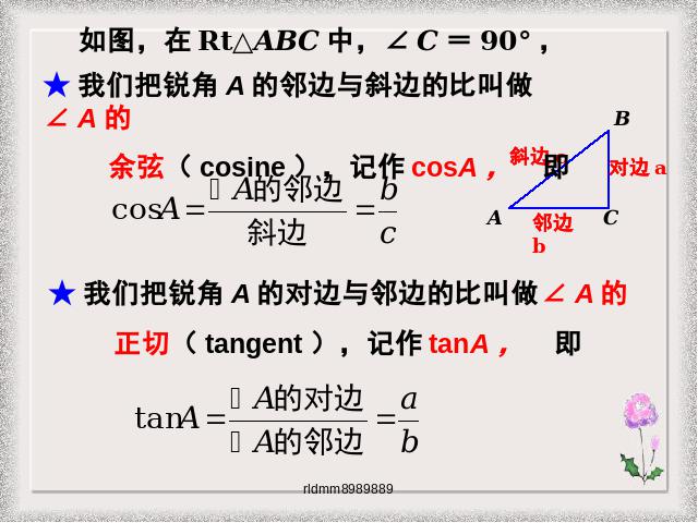 初三下册数学《28.1锐角三角函数》数学第4页