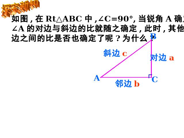 初三下册数学《28.1锐角三角函数》数学第5页