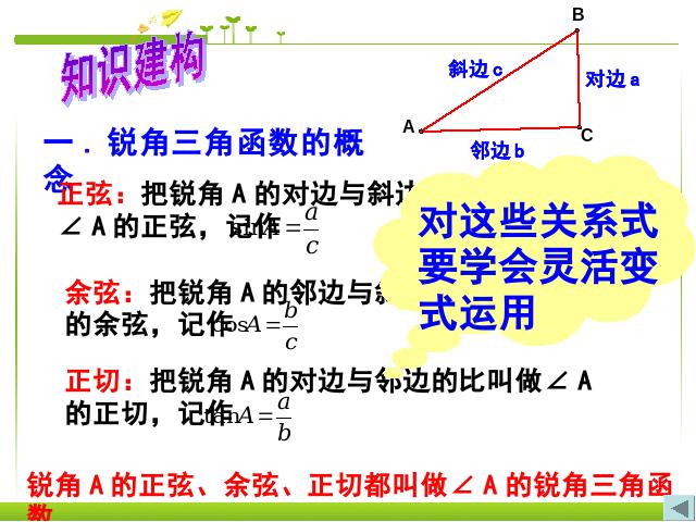 初三下册数学《锐角三角函数复习题28》数学第4页